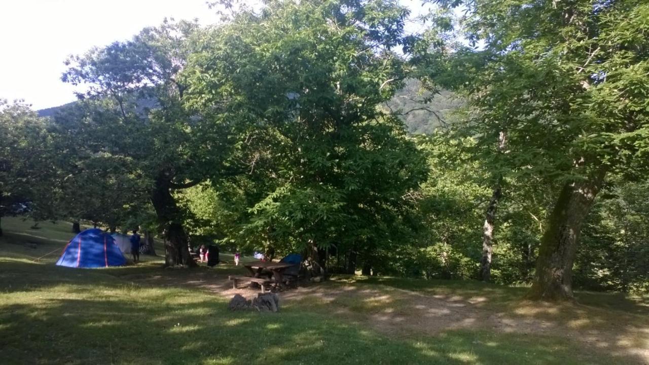 Camping Camaldoli Exterior photo