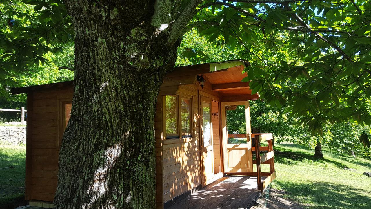 Camping Camaldoli Exterior photo